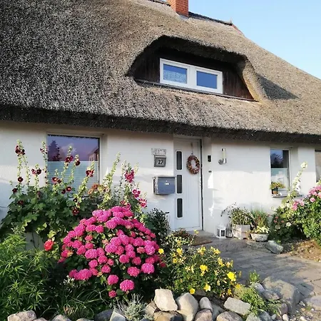 Am Wanderweg Zum Königsstuhl Unter Reet Lohme