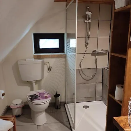 Am Wanderweg Zum Königsstuhl Unter Reet Lohme