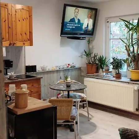 Am Wanderweg Zum Königsstuhl Unter Reet * Lohme