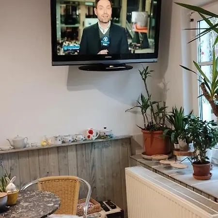 Am Wanderweg Zum Königsstuhl Unter Reet Lohme